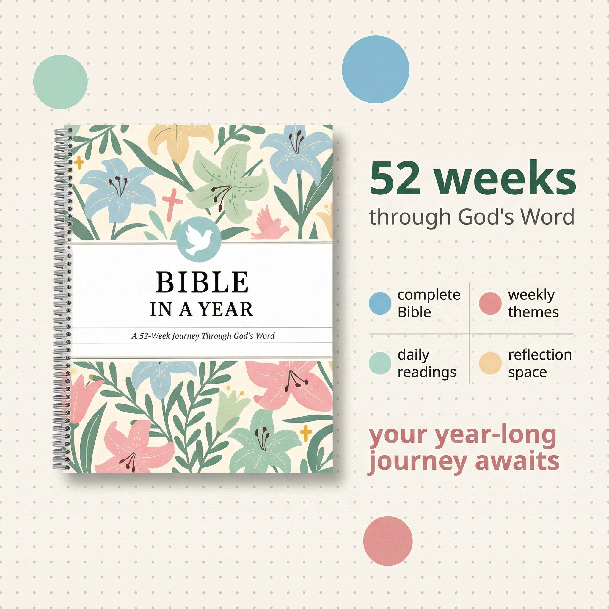 Bible In A Year: 52-Week Study (New Store)