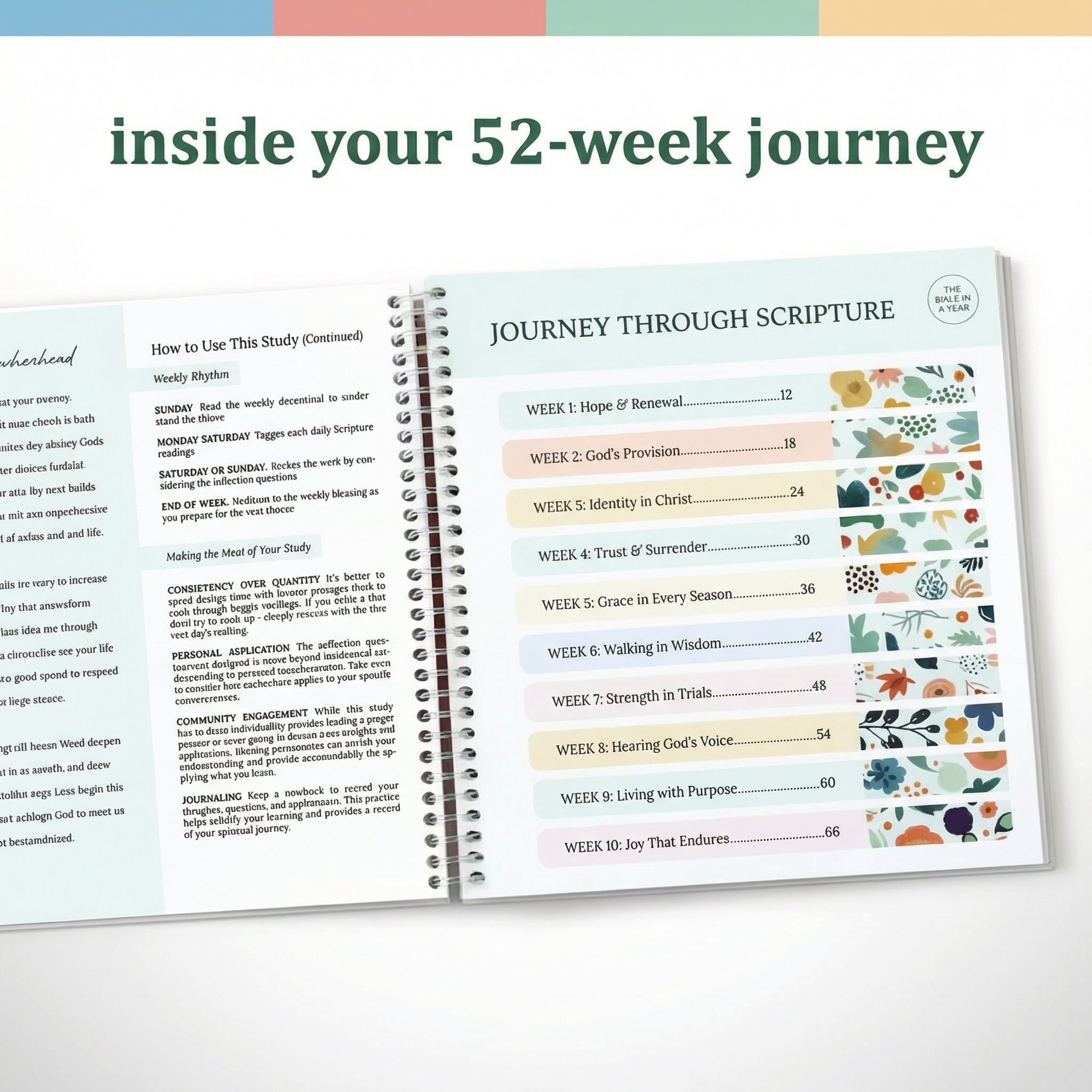 Bible In A Year: 52-Week Study (New Store)