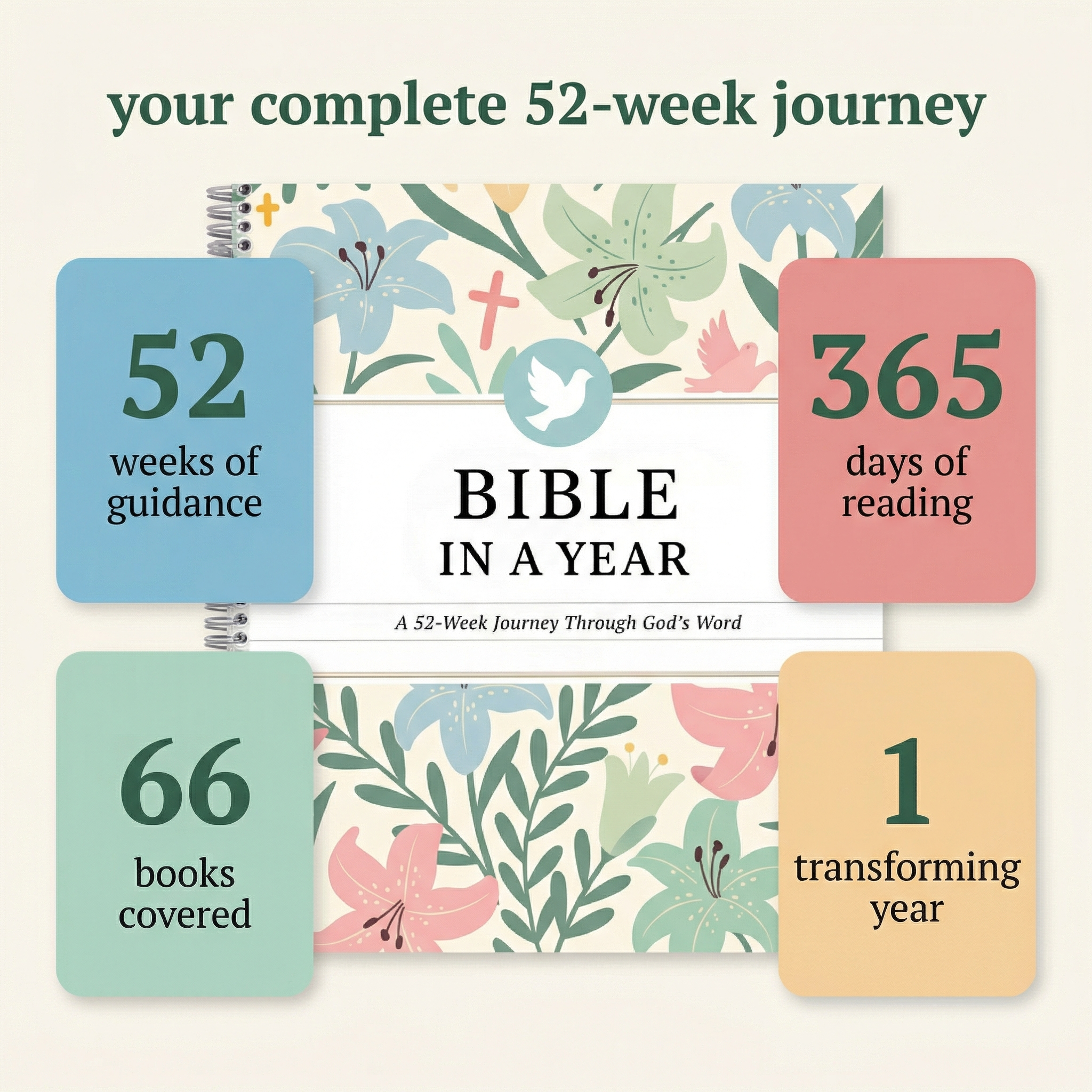 Bible In A Year: 52-Week Study (New Store)